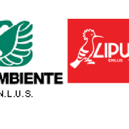 Opposizione delle Associazioni nazionali di protezione ambientale alla pista bob Cortina