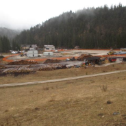 Presidio  NO BOB-OLIMPIADI INSOSTENIBILI a Socol di Cortina 13-04